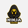 Ninja Fighter